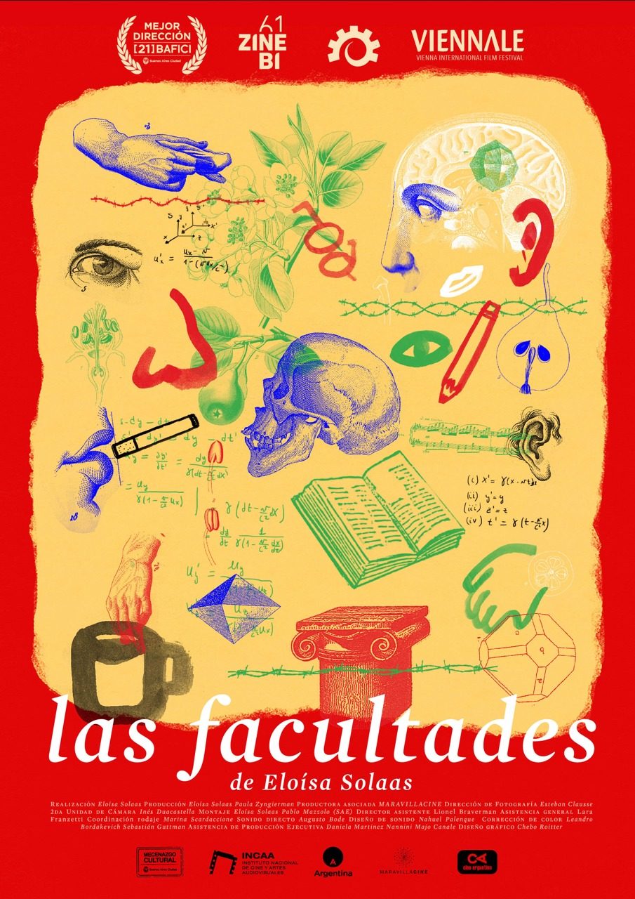 The faculties